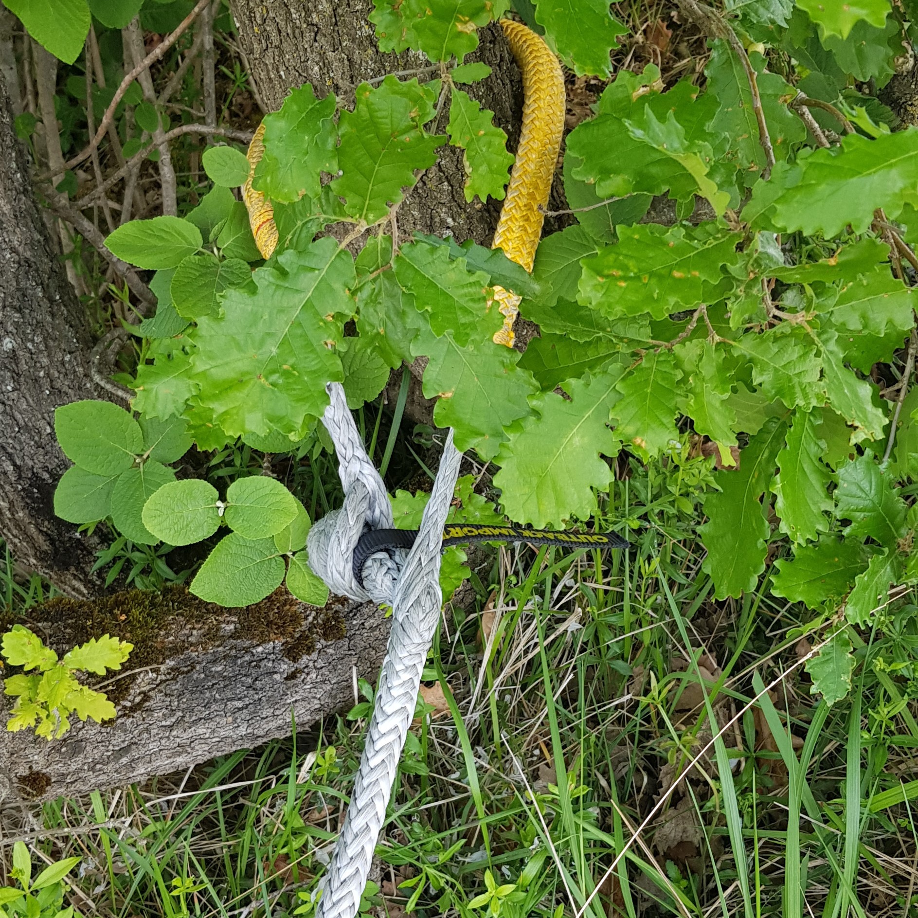 Cable synthétique OUTBACK Diam 10 x 24m avec crochet synthétique – Image 3