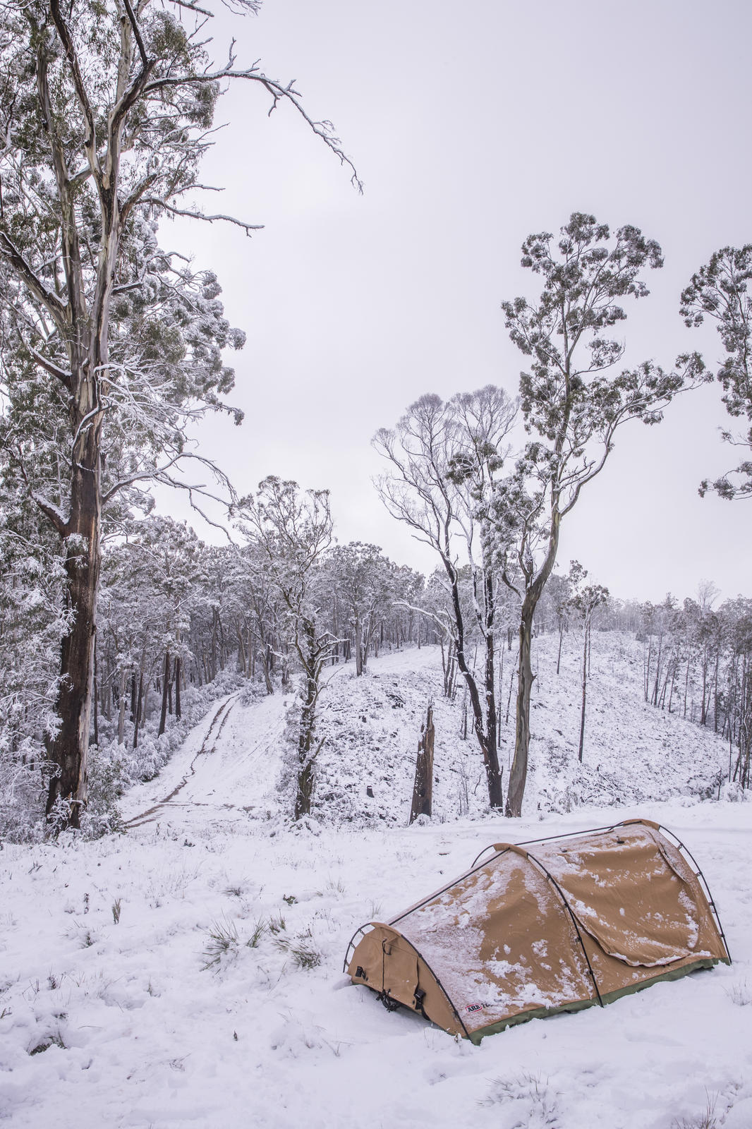 Swag ARB double (2150 - 1400 - 850) – Image 4